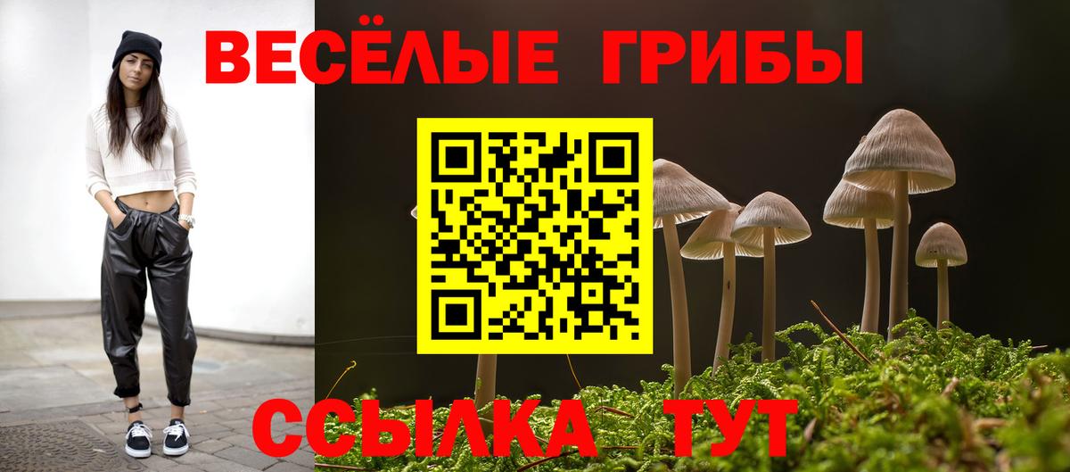 Фурманов  Псилоцибиновые грибы MAGIC MUSHROOMS  Вход с VPN 